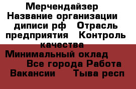 Мерчендайзер › Название организации ­ диписи.рф › Отрасль предприятия ­ Контроль качества › Минимальный оклад ­ 20 000 - Все города Работа » Вакансии   . Тыва респ.